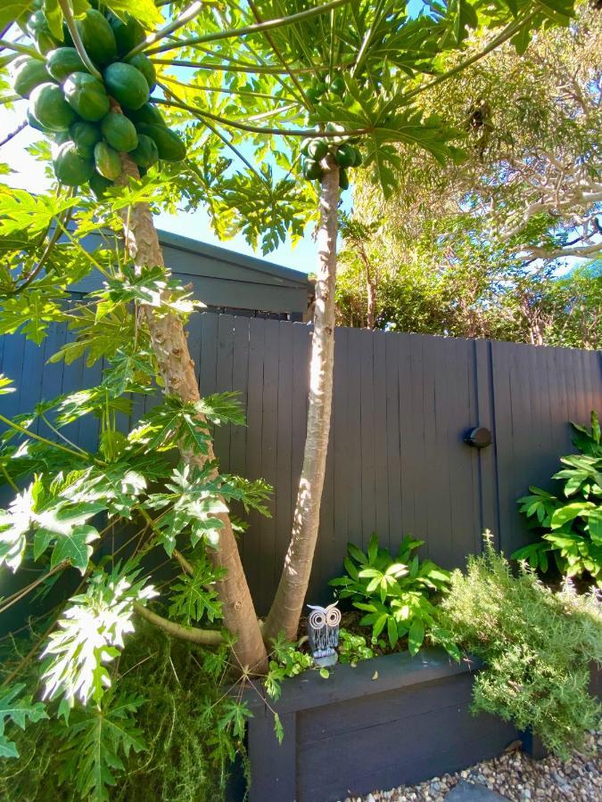 Apartament The Mitchell Bondi Garden 4 Sydney Zewnętrze zdjęcie